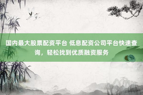 国内最大股票配资平台 低息配资公司平台快速查询，轻松找到优质融资服务
