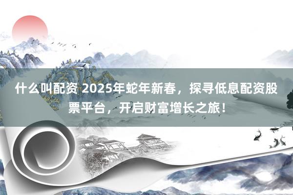 什么叫配资 2025年蛇年新春，探寻低息配资股票平台，开启财富增长之旅！