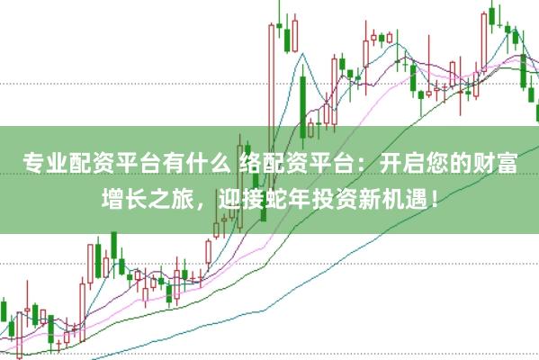 专业配资平台有什么 络配资平台：开启您的财富增长之旅，迎接蛇年投资新机遇！