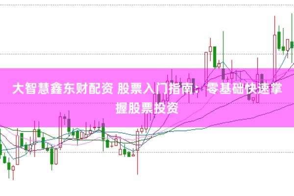 大智慧鑫东财配资 股票入门指南：零基础快速掌握股票投资