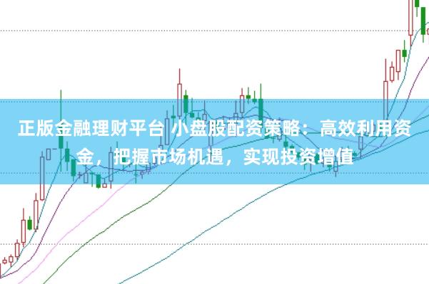 正版金融理财平台 小盘股配资策略：高效利用资金，把握市场机遇，实现投资增值