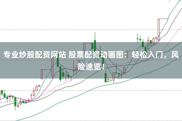 专业炒股配资网站 股票配资动画图：轻松入门，风险速览！