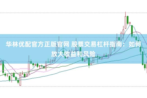 华林优配官方正版官网 股票交易杠杆指南：如何放大收益和风险