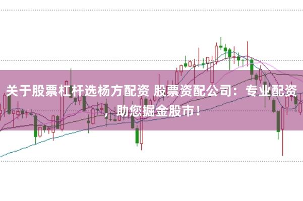 关于股票杠杆选杨方配资 股票资配公司：专业配资，助您掘金股市！