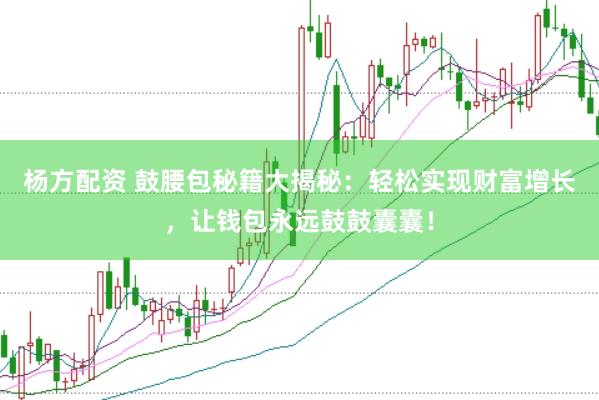 杨方配资 鼓腰包秘籍大揭秘：轻松实现财富增长，让钱包永远鼓鼓囊囊！
