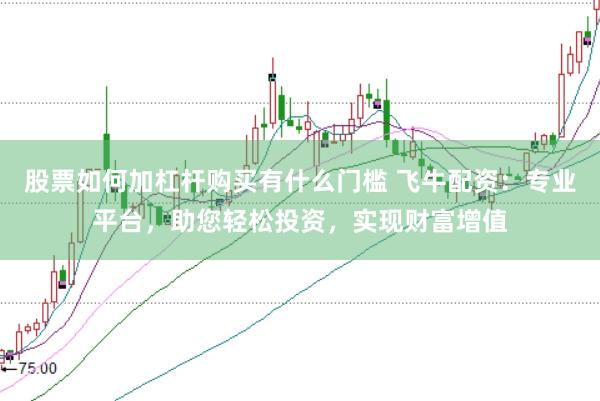 股票如何加杠杆购买有什么门槛 飞牛配资：专业平台，助您轻松投资，实现财富增值