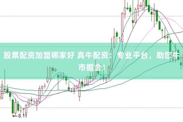 股票配资加盟哪家好 真牛配资：专业平台，助您牛市掘金！
