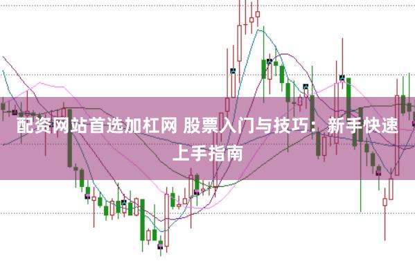 配资网站首选加杠网 股票入门与技巧：新手快速上手指南