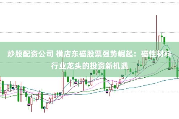 炒股配资公司 横店东磁股票强势崛起：磁性材料行业龙头的投资新机遇