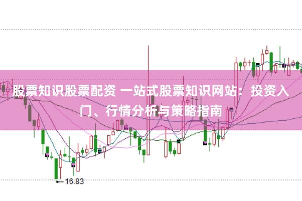 股票知识股票配资 一站式股票知识网站：投资入门、行情分析与策略指南