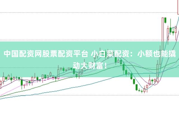 中国配资网股票配资平台 小白菜配资：小额也能撬动大财富！