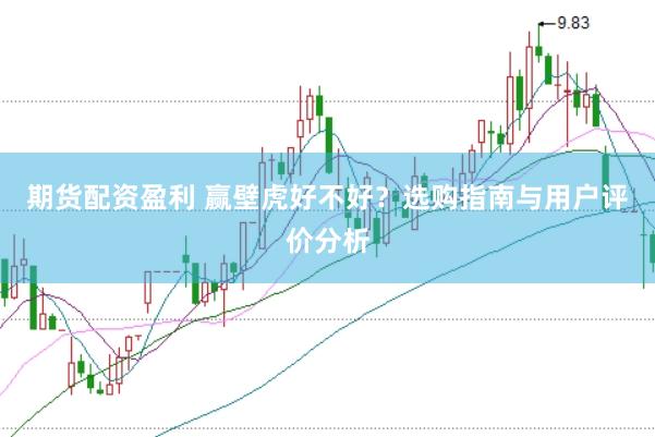 期货配资盈利 赢壁虎好不好？选购指南与用户评价分析