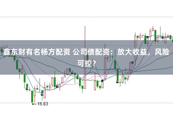 鑫东财有名杨方配资 公司债配资：放大收益，风险可控？