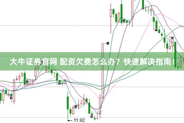 大牛证券官网 配资欠费怎么办？快速解决指南！