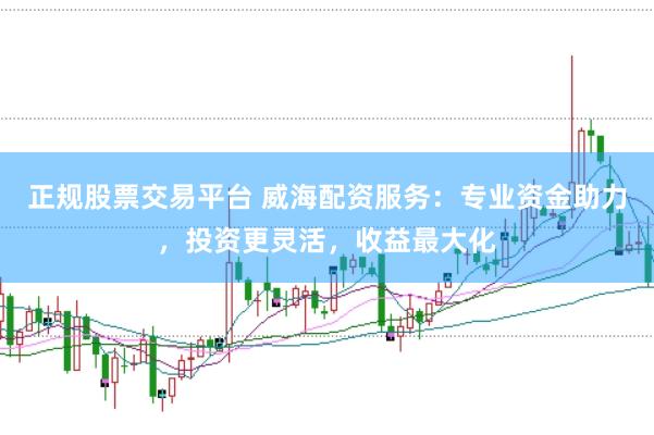 正规股票交易平台 威海配资服务：专业资金助力，投资更灵活，收益最大化