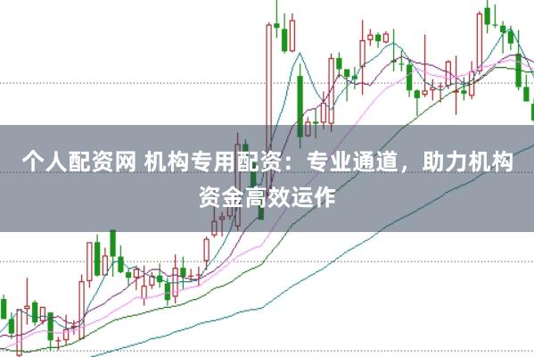 个人配资网 机构专用配资：专业通道，助力机构资金高效运作