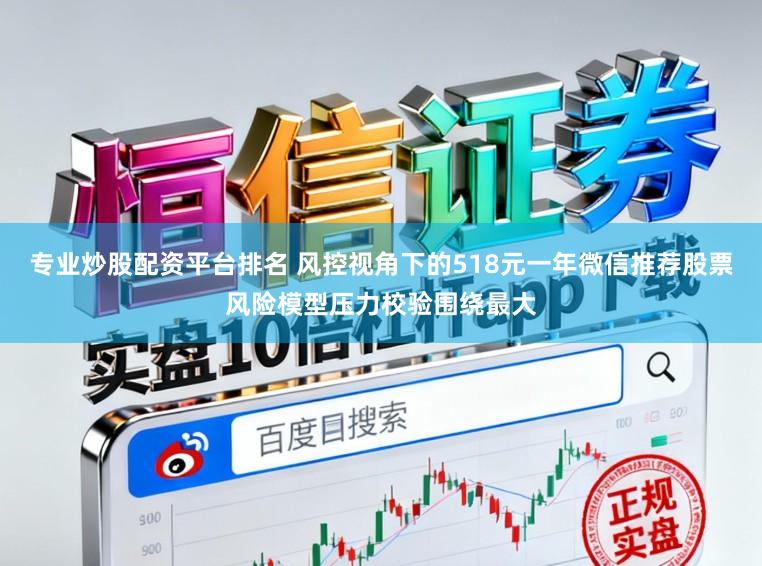 专业炒股配资平台排名 风控视角下的518元一年微信推荐股票风险模型压力校验围绕最大