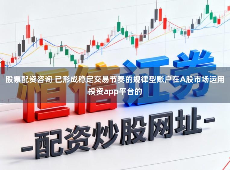 股票配资咨询 已形成稳定交易节奏的规律型账户在A股市场运用投资app平台的