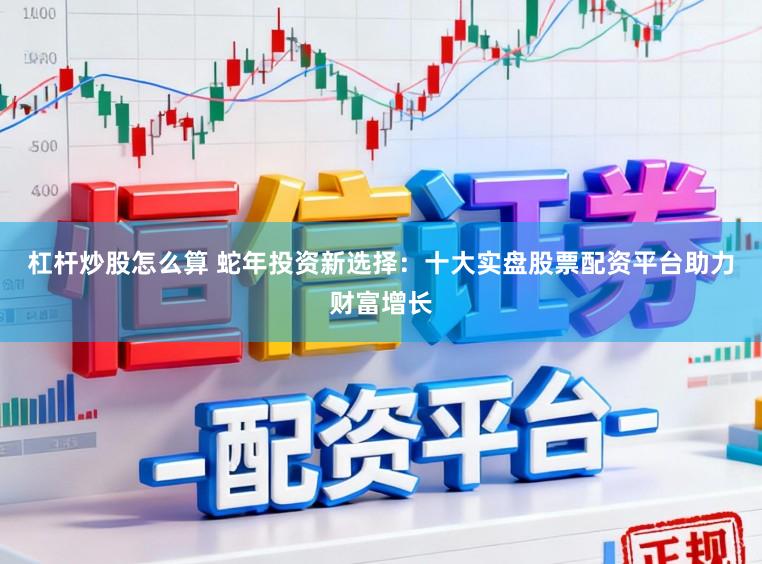 杠杆炒股怎么算 蛇年投资新选择：十大实盘股票配资平台助力财富增长
